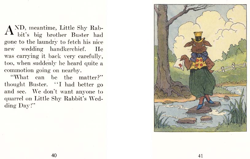 22_Peter_Rabbits_Wedding