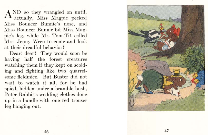 25_Peter_Rabbits_Wedding