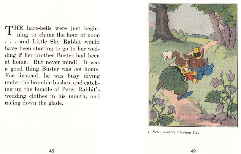 26_Peter_Rabbits_Wedding