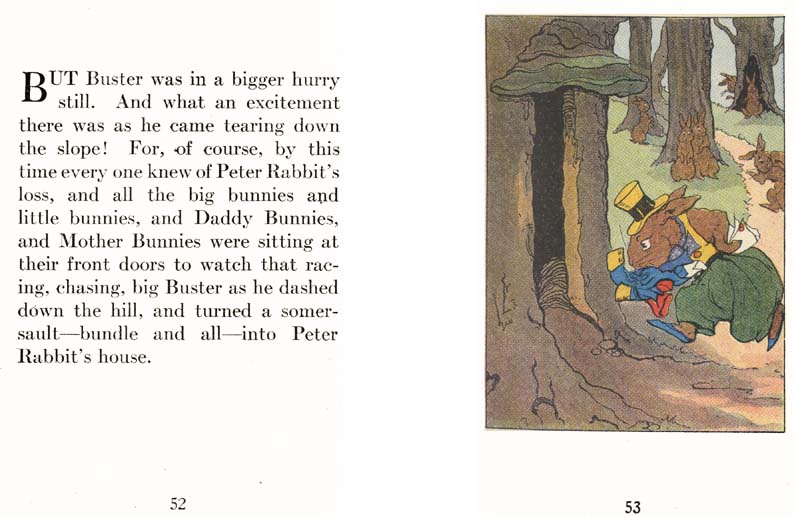 28_Peter_Rabbits_Wedding