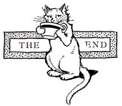 49_Robber_Kitten