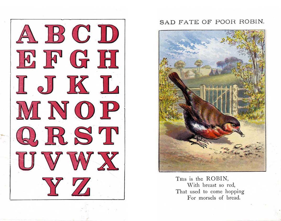 02_Sad_Fate_of_Poor_Robin