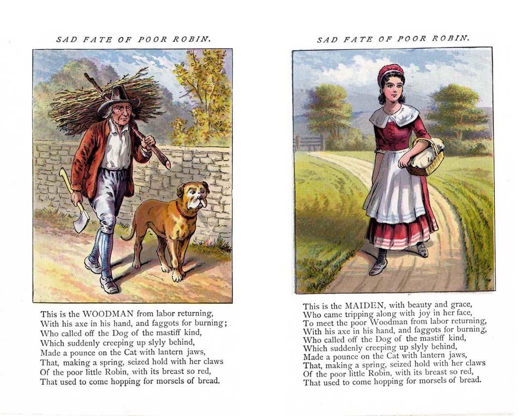 04_Sad_Fate_of_Poor_Robin