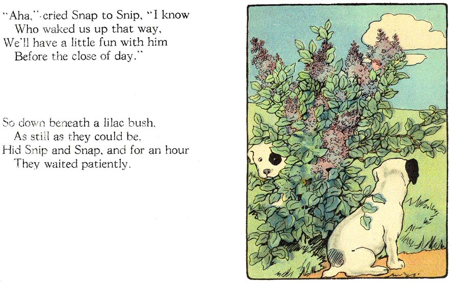 09_Snip_and_Snap_and_the_Poll_Parrot