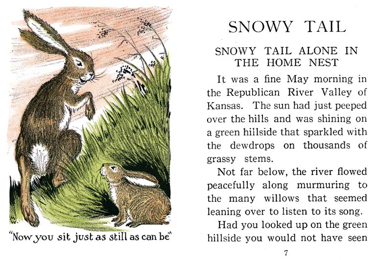 04_Snowy_Tail