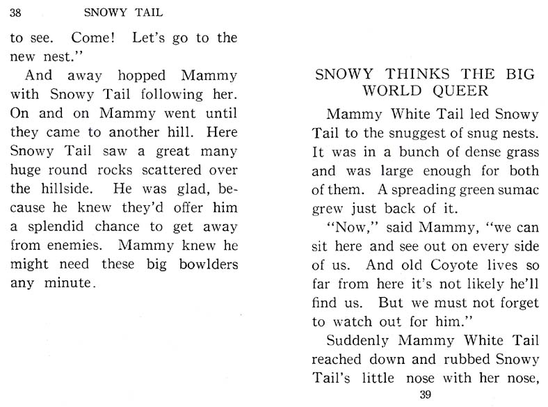 20_Snowy_Tail