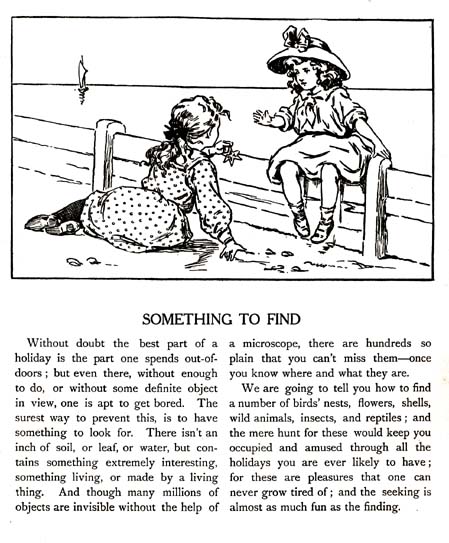 05_Something_to_Find