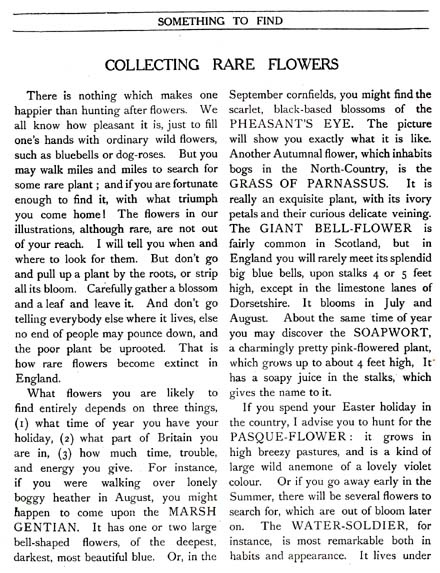 06_Something_to_Find