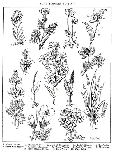 07_Something_to_Find