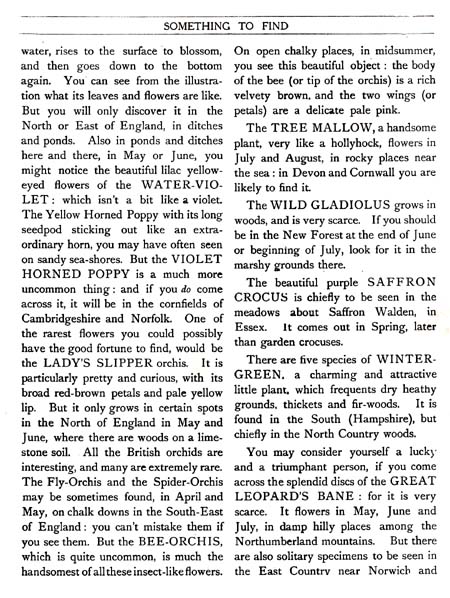 09_Something_to_Find