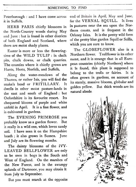 10_Something_to_Find