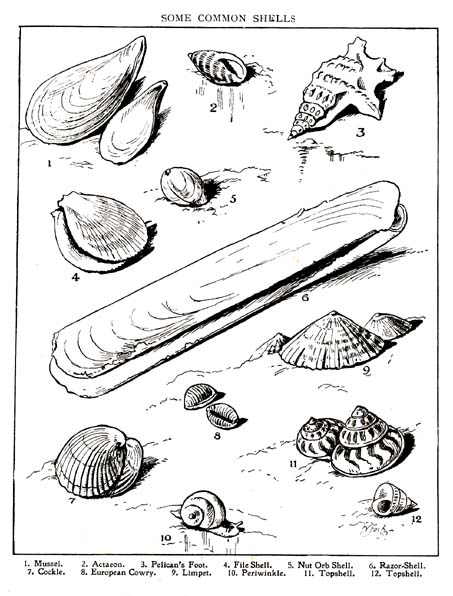 13_Something_to_Find