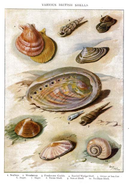 14_Something_to_Find