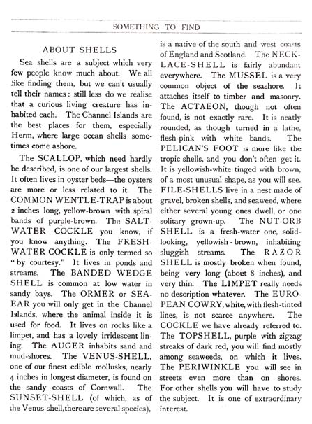 15_Something_to_Find