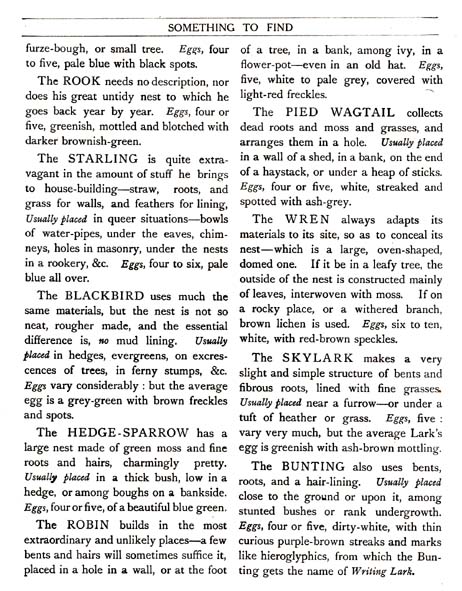 22_Something_to_Find