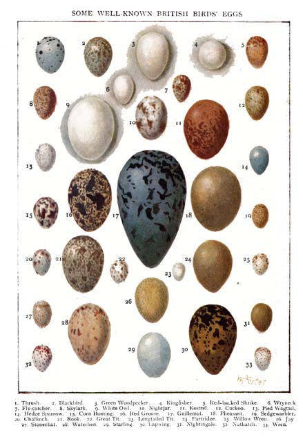 23_Something_to_Find