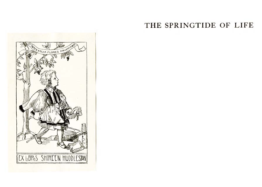 03_Springtide_of_Life