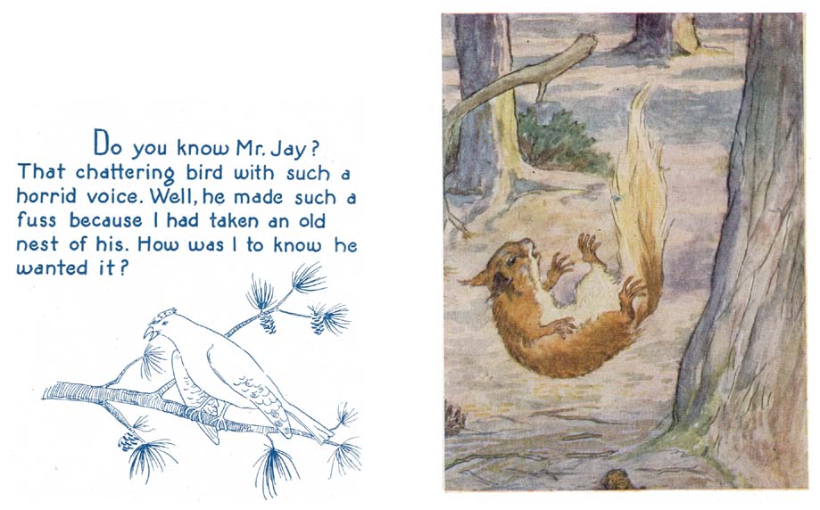 12_Story_of_a_Saucy_Squirrel