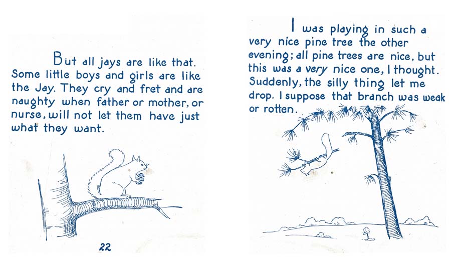 14_Story_of_a_Saucy_Squirrel