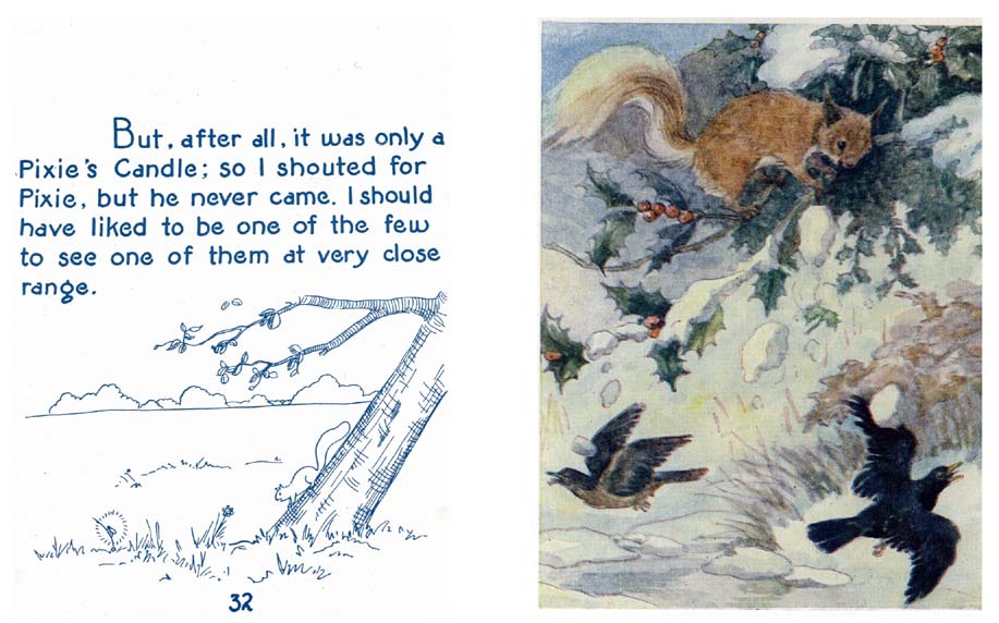 19_Story_of_a_Saucy_Squirrel