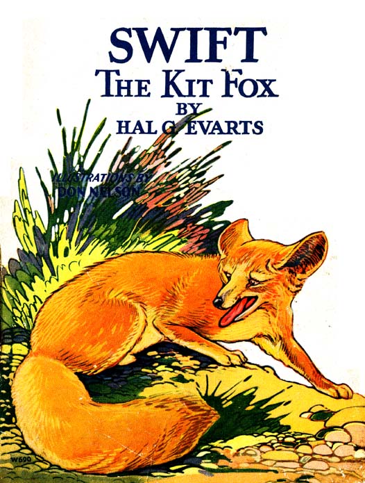 01_Swift_the_Kit_Fox