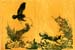 02_Swift_the_Kit_Fox