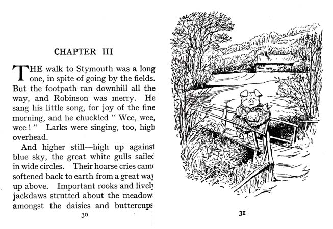 20_The_Tale_of_Little_Pig_Robinson