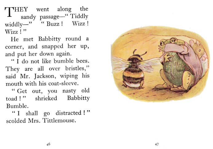 25_Tale_of_Mrs_Tittlemouse