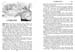 064_Tales_from_Shakespeare