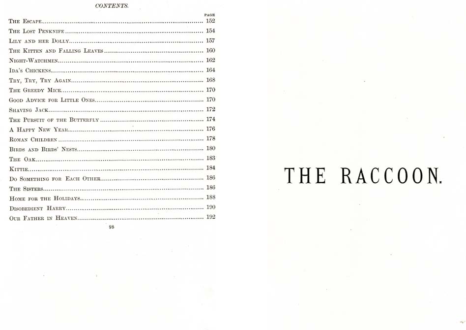 05_The_Raccoon