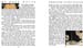 22_Through_Fairy_Halls_3