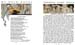 12_Through_Fairy_Halls_4