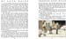 14_Through_Fairy_Halls_6