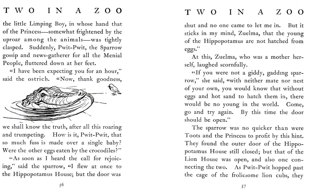 33_Two_in_a_Zoo