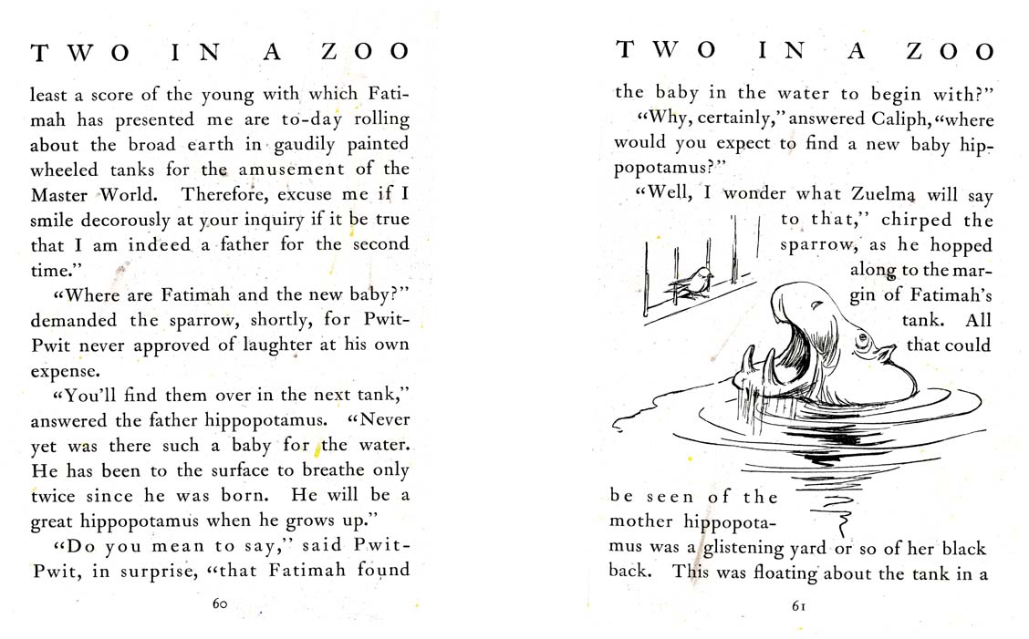 35_Two_in_a_Zoo