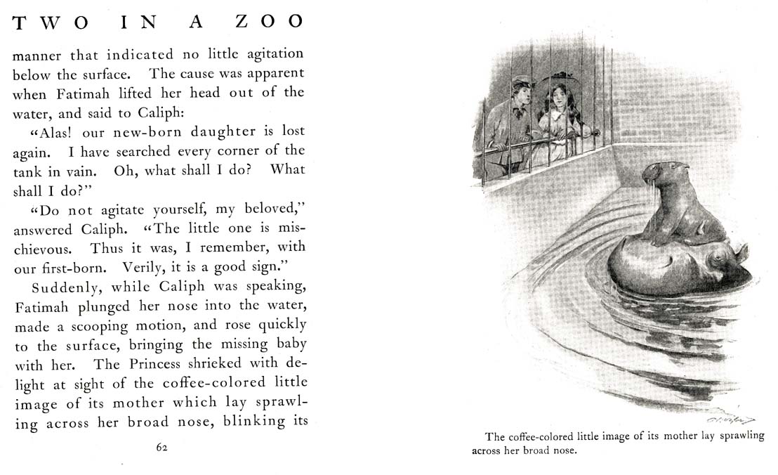 36_Two_in_a_Zoo