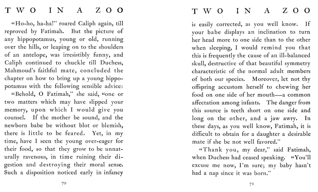 40_Two_in_a_Zoo
