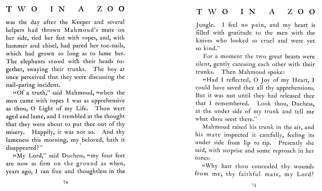 42_Two_in_a_Zoo