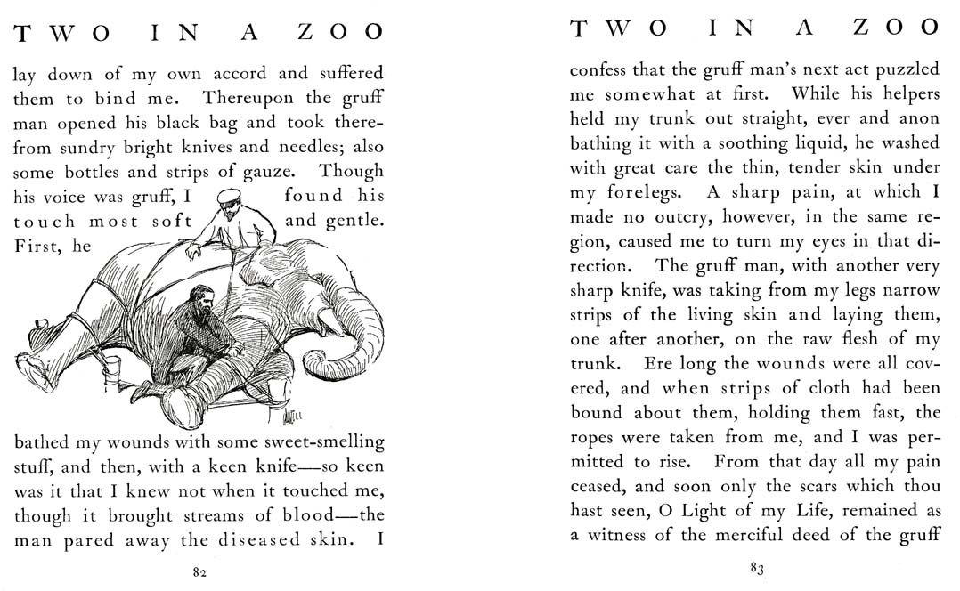 46_Two_in_a_Zoo