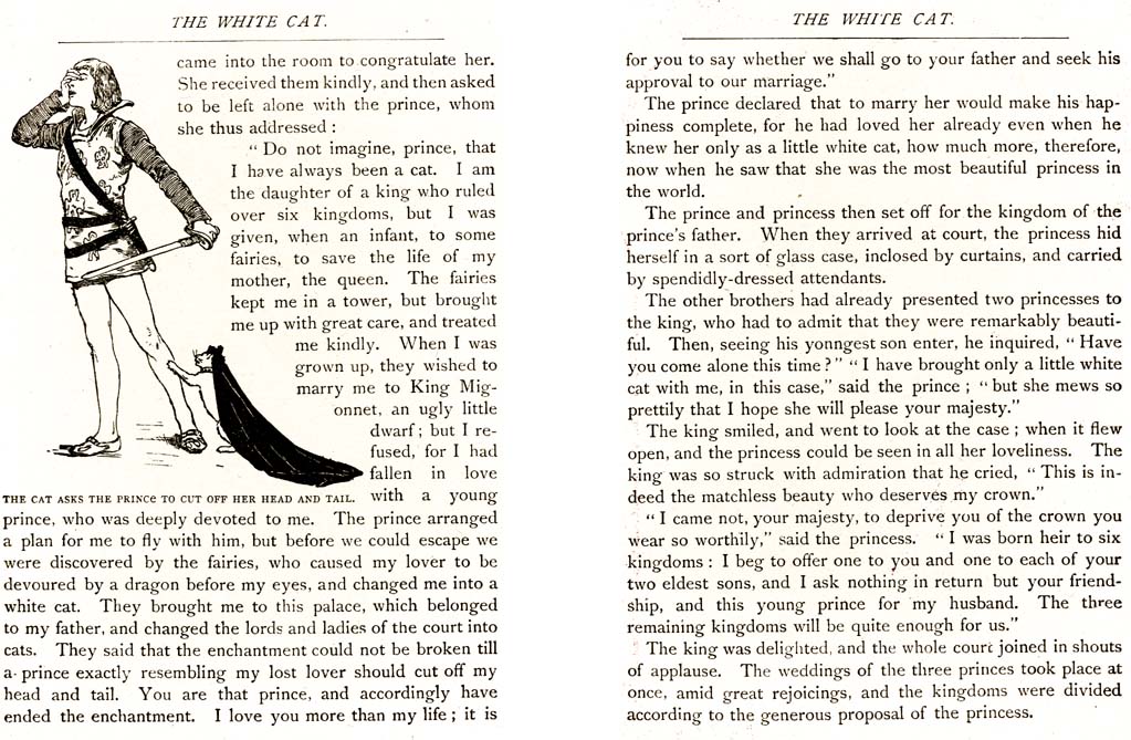 06_The_White_Cat