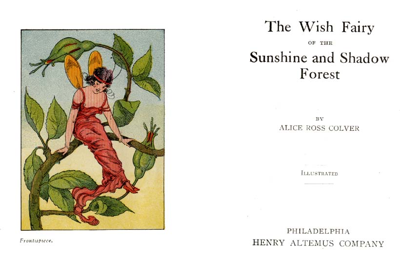 02_Wish_Fairy_of_the_Sunshine_and_Shadow_Forest