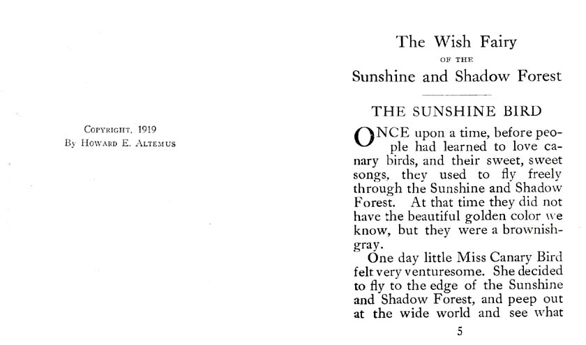 03_Wish_Fairy_of_the_Sunshine_and_Shadow_Forest