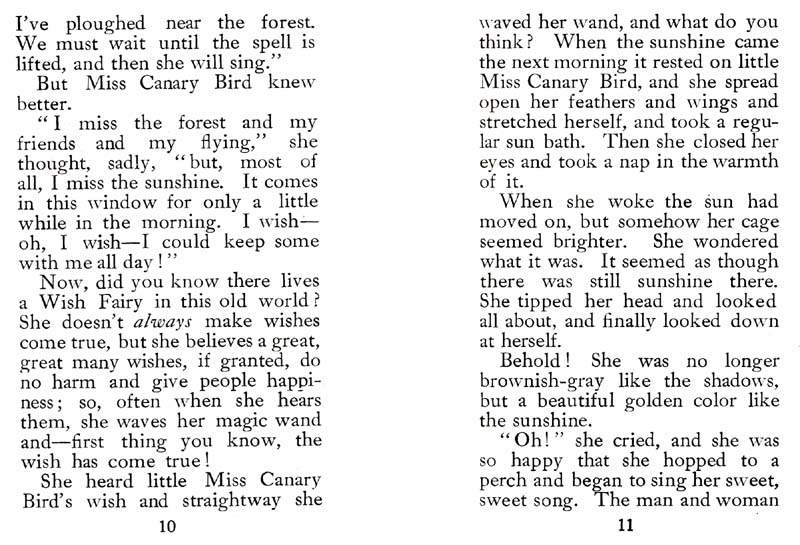 06_Wish_Fairy_of_the_Sunshine_and_Shadow_Forest