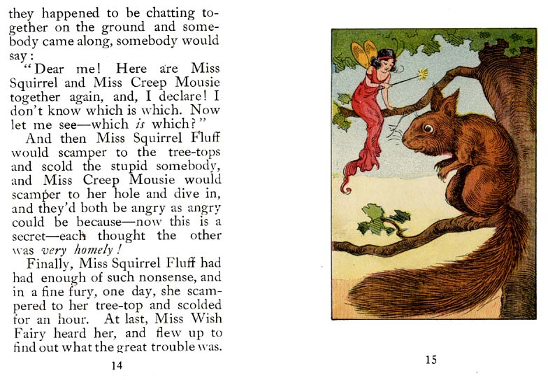 08_Wish_Fairy_of_the_Sunshine_and_Shadow_Forest