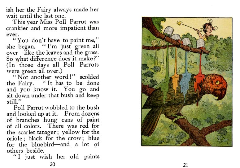 11_Wish_Fairy_of_the_Sunshine_and_Shadow_Forest