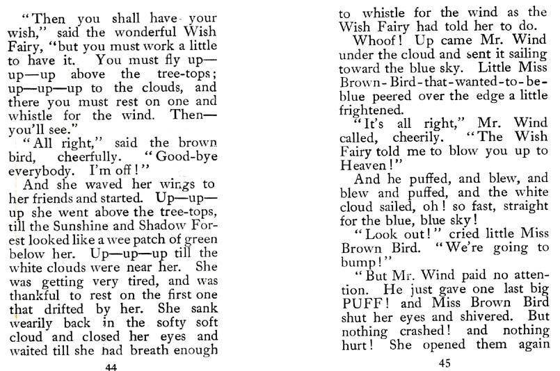 23_Wish_Fairy_of_the_Sunshine_and_Shadow_Forest