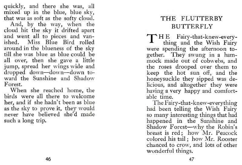 24_Wish_Fairy_of_the_Sunshine_and_Shadow_Forest