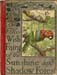 01_Wish_Fairy_of_the_Sunshine_and_Shadow_Forest