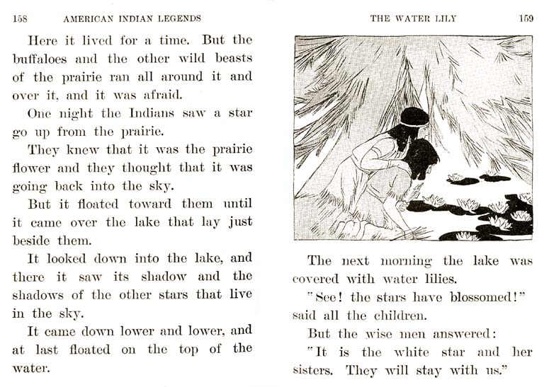 081_Young_and_Field_Literary_Reader