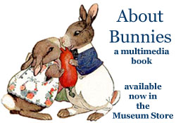 Click Here for About Bunnies multimedia!